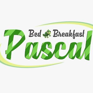 B&B Pascal